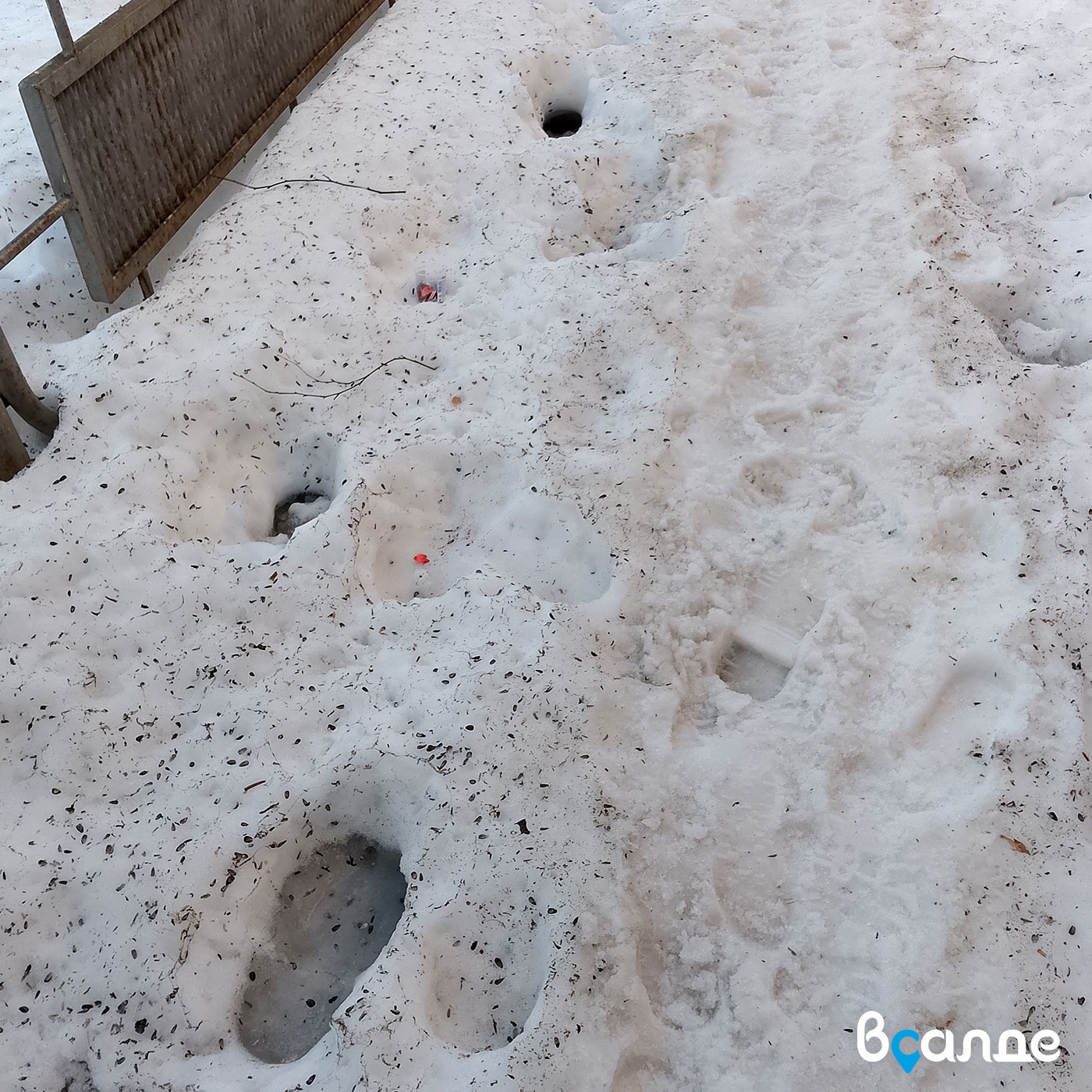 ������� ��������� �������������������