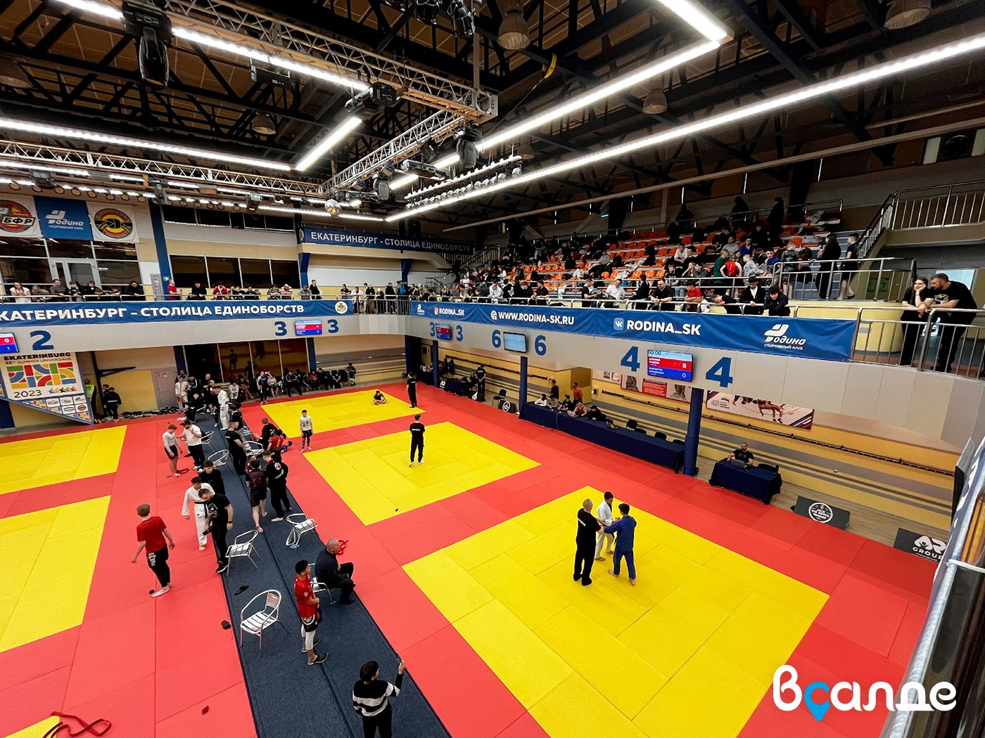 23������� ��������� ���������� ����� ��������������� ������� �Gorilla Pride Cup�V�