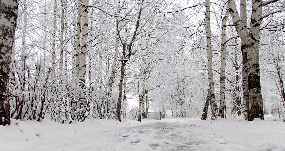 9 ������. �����, ����, ������