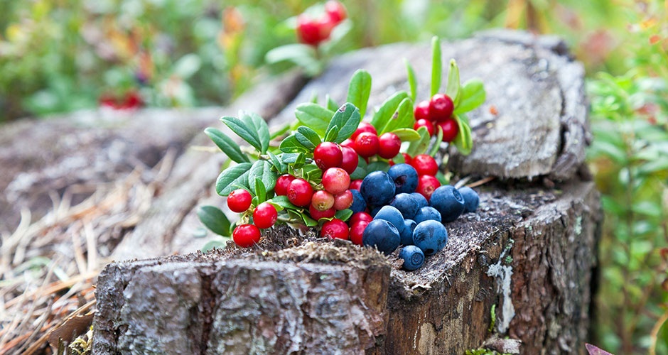 ������������ ����� ���������� �������� ������