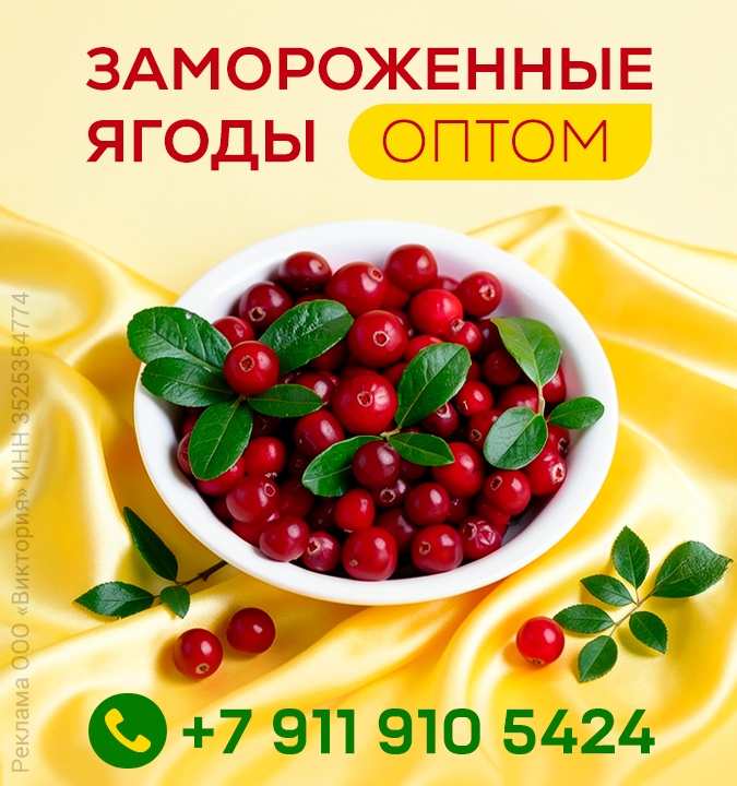 ������������ �����