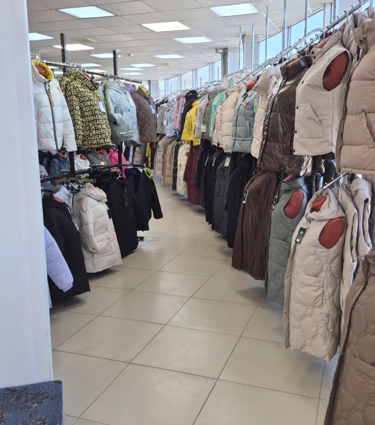 �������� ������ 50% �������� ������ ��������� ��������������