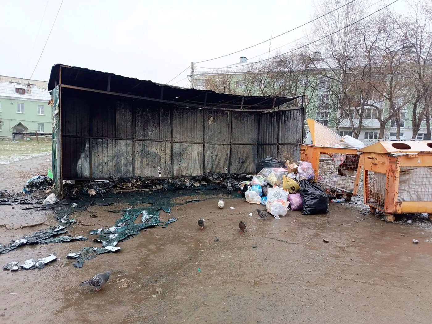  ������� ����� ����������� ������ �������� ����������