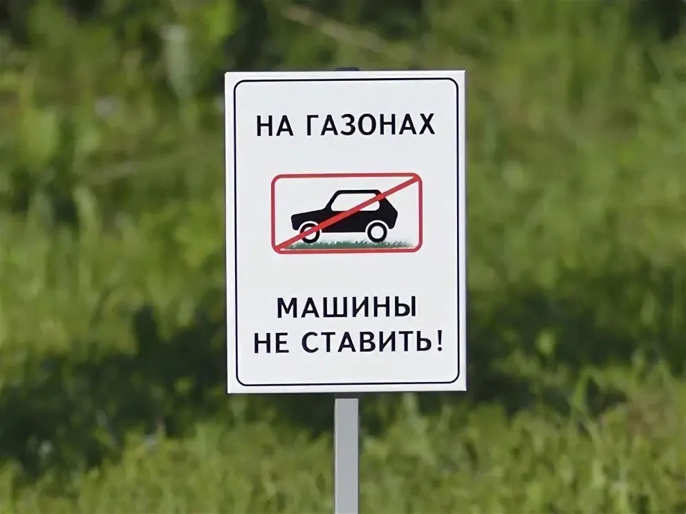 Где парковаться? Где парковаться?
