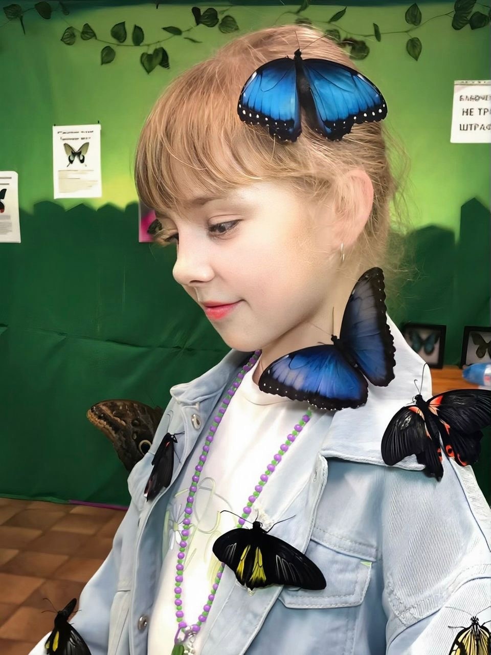 Ѡ1���26�����. ���������� �������� ����� ����������� ������� �������� ����� [+���������]