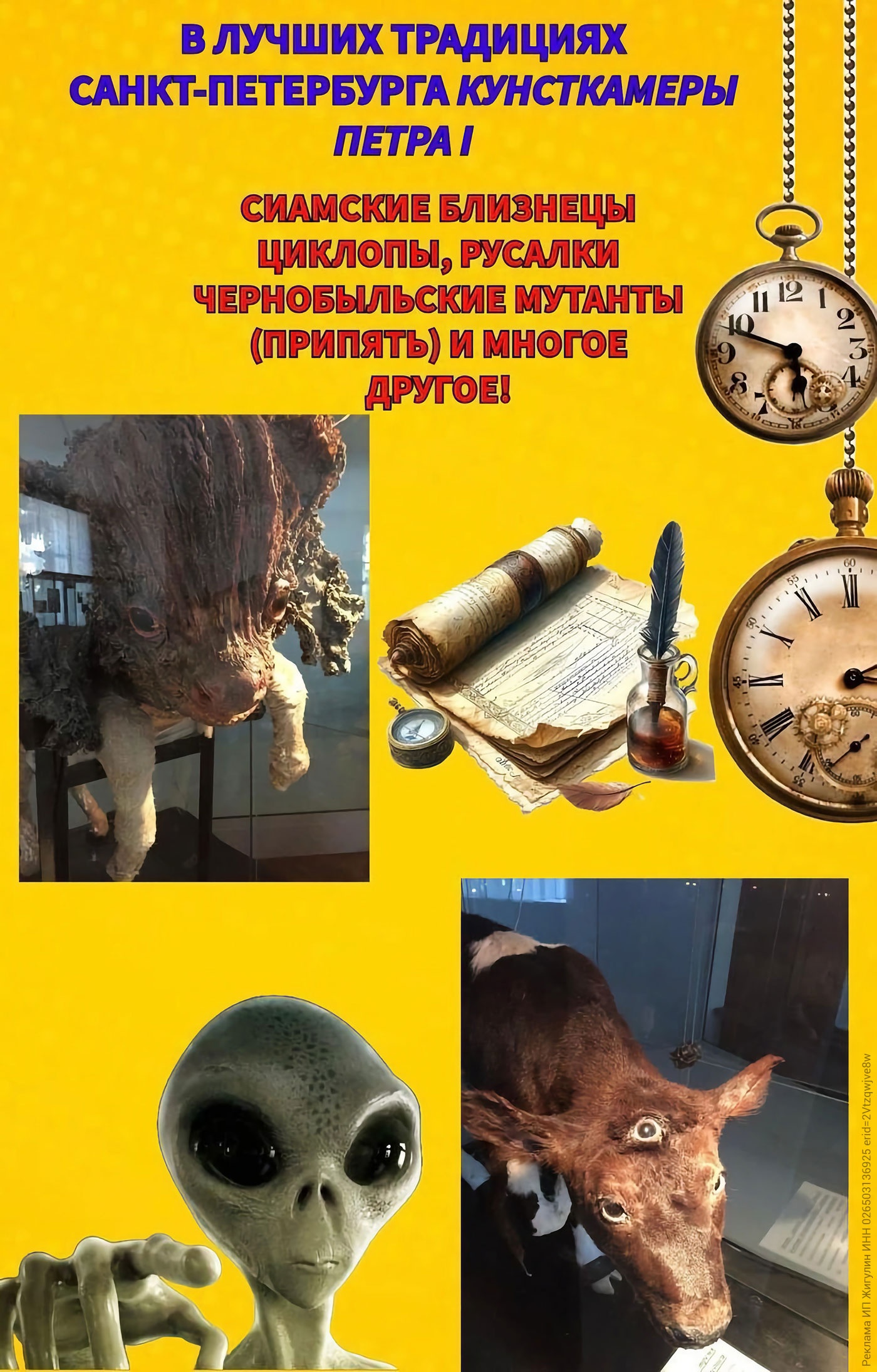 Ѡ1���26�����. ������������� �������� ���������� ������������ [+���������]