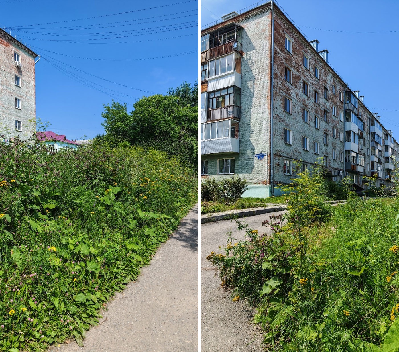 Салдинские заросли Салдинские заросли