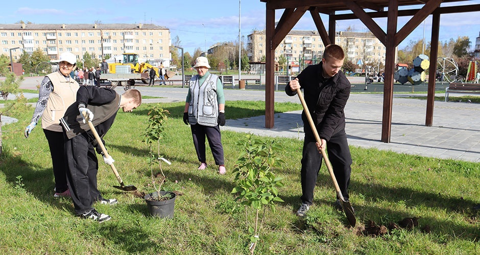 Превратить площадь в парк Превратить площадь в парк